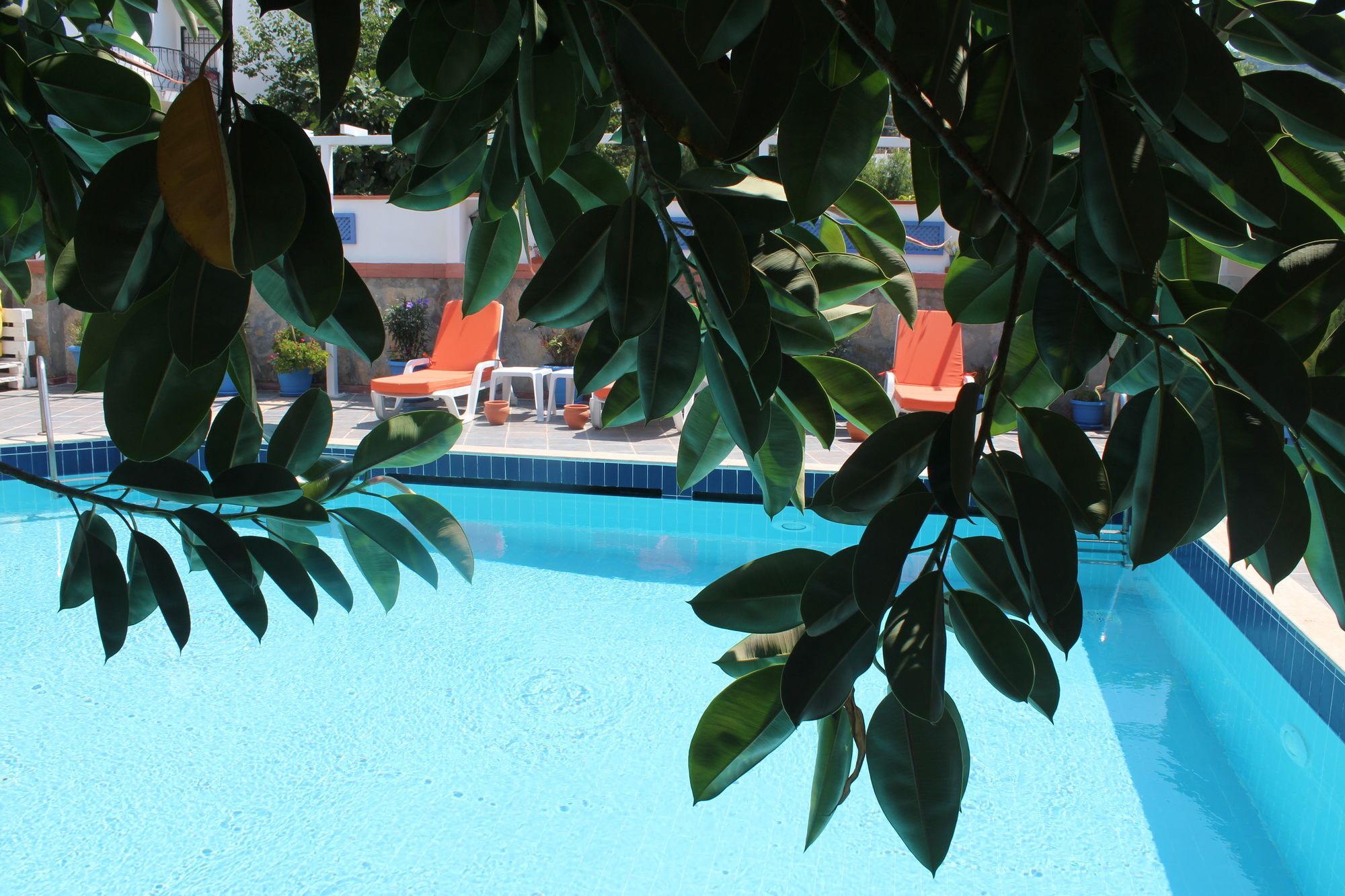 Oya Boutique Otel And Suites Bodrum Kültér fotó