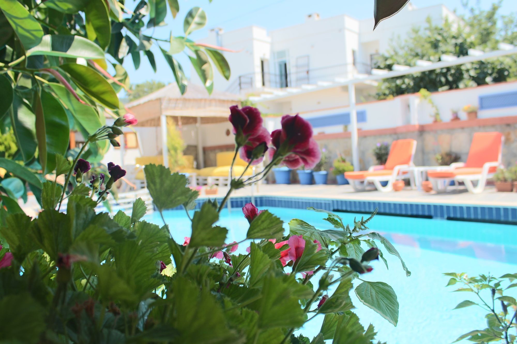 Oya Boutique Otel And Suites Bodrum Kültér fotó